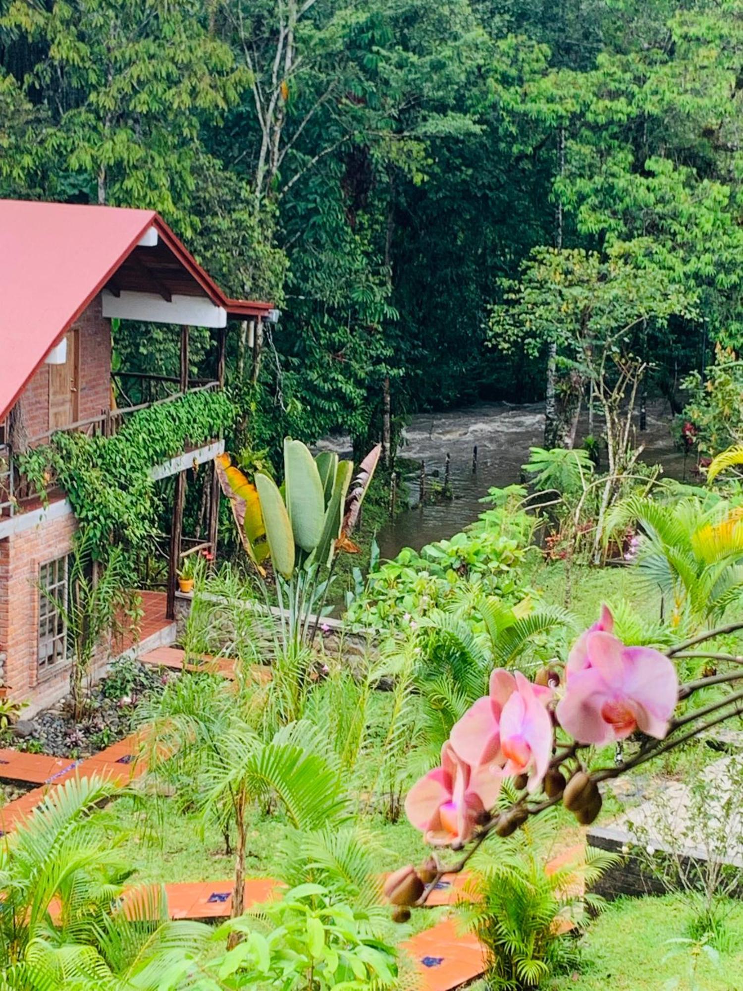 La Casa Del Rio B&B Puyo Zewnętrze zdjęcie
